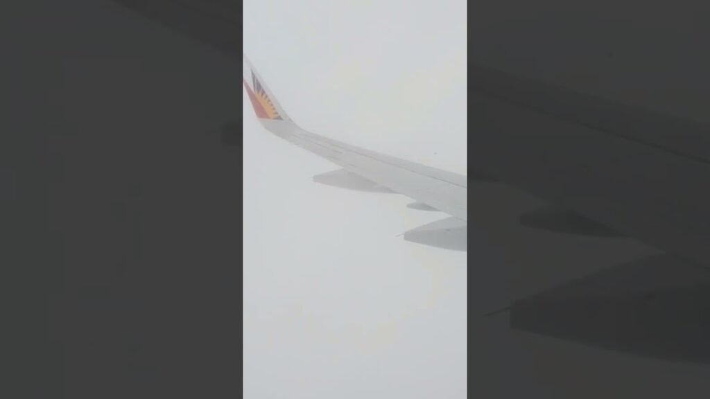 Airplane drops 100 feet in turbulence, passengers scream!
